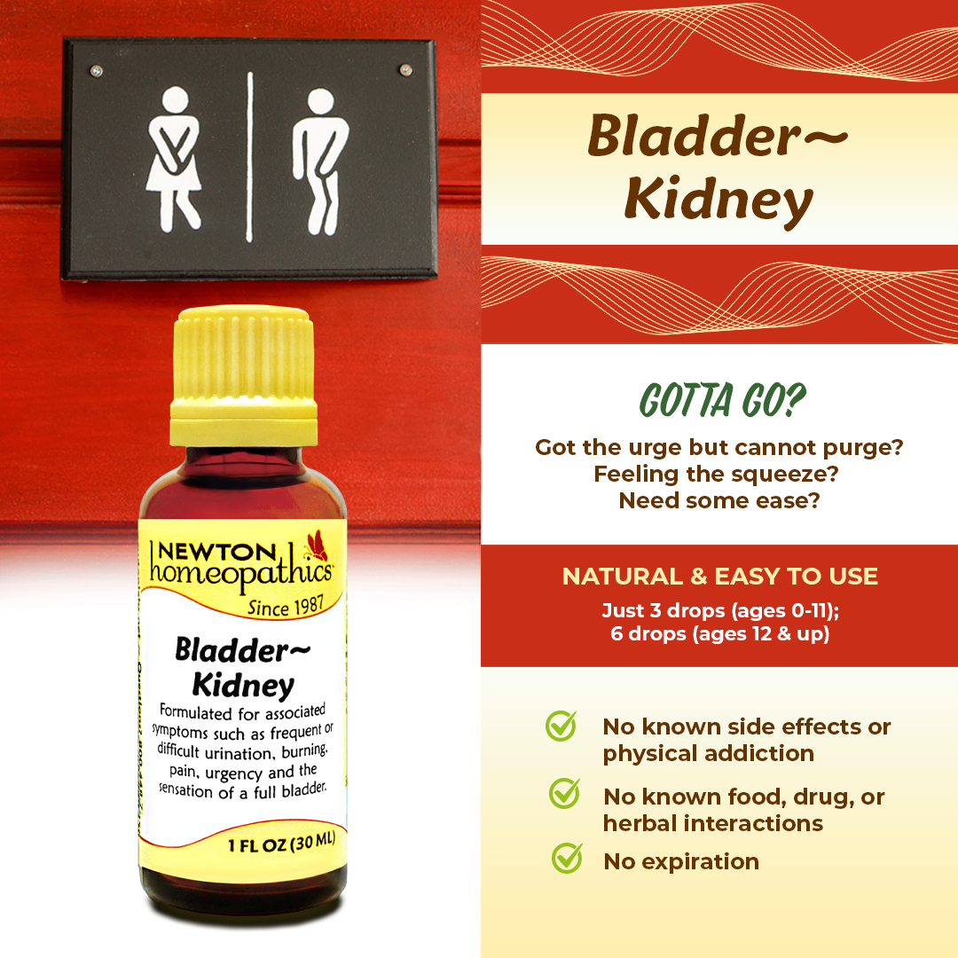 Bladder ~ Kidney