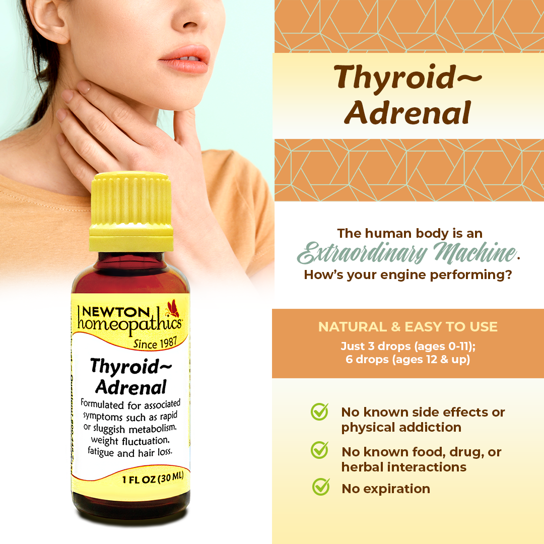 Thyroid ~ Adrenal