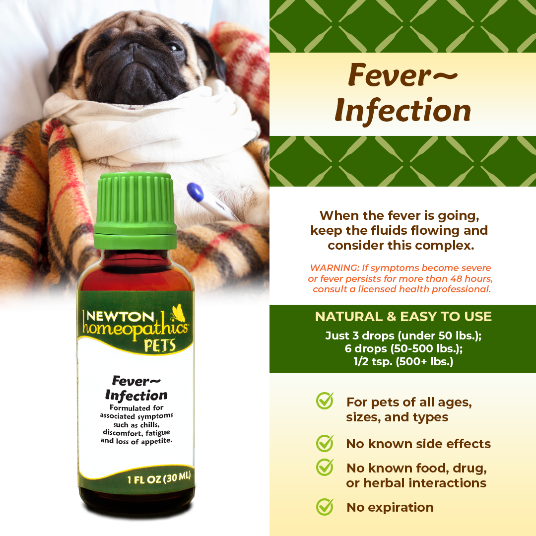 Pets Fever ~ Infection