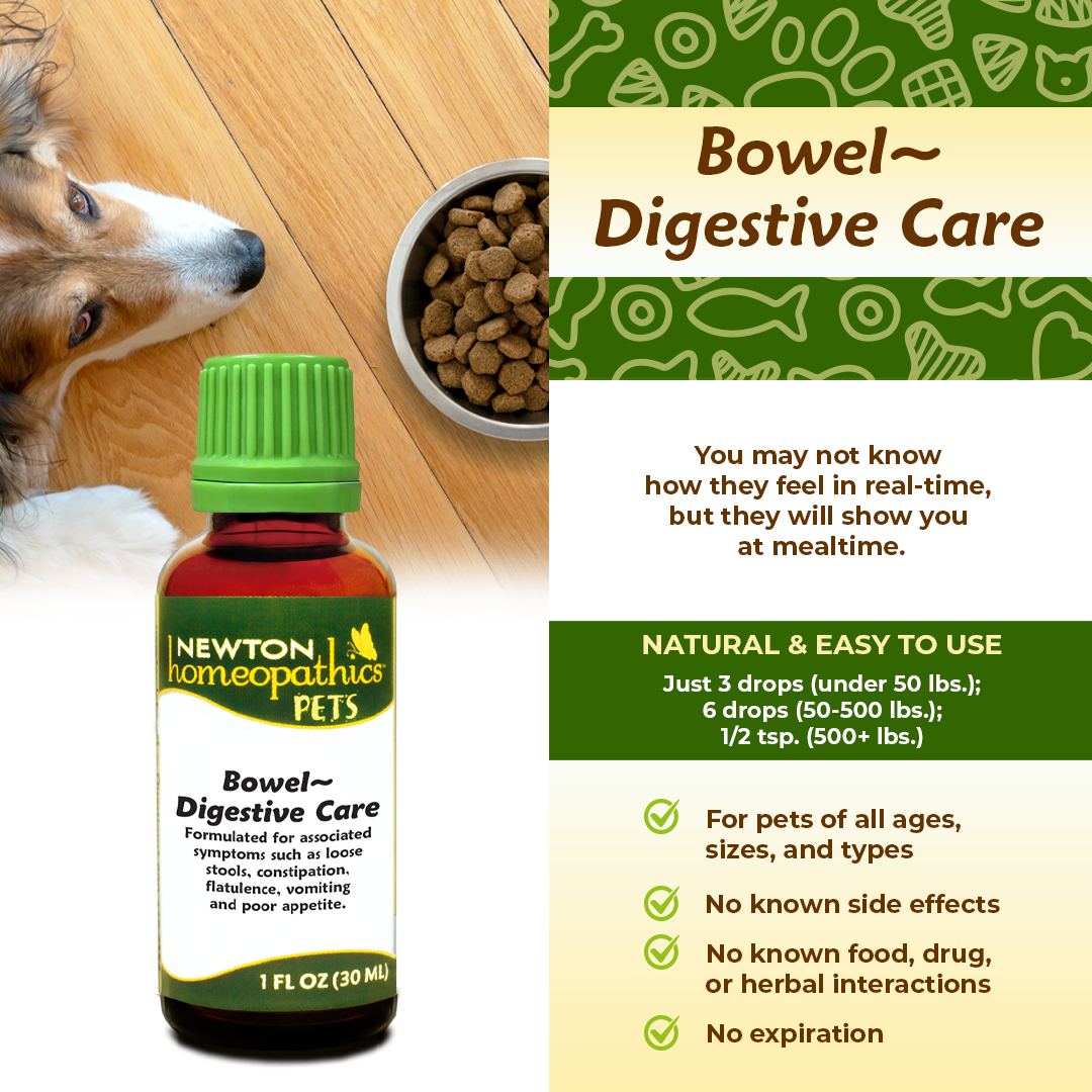 Pets Bowel ~ Digestive Care