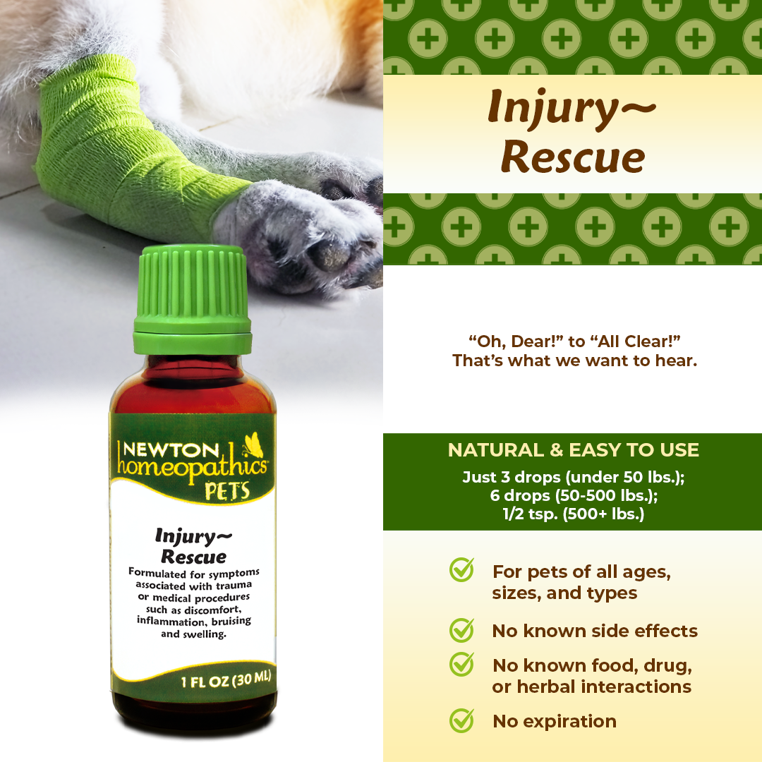 Pets Injury ~ Rescue