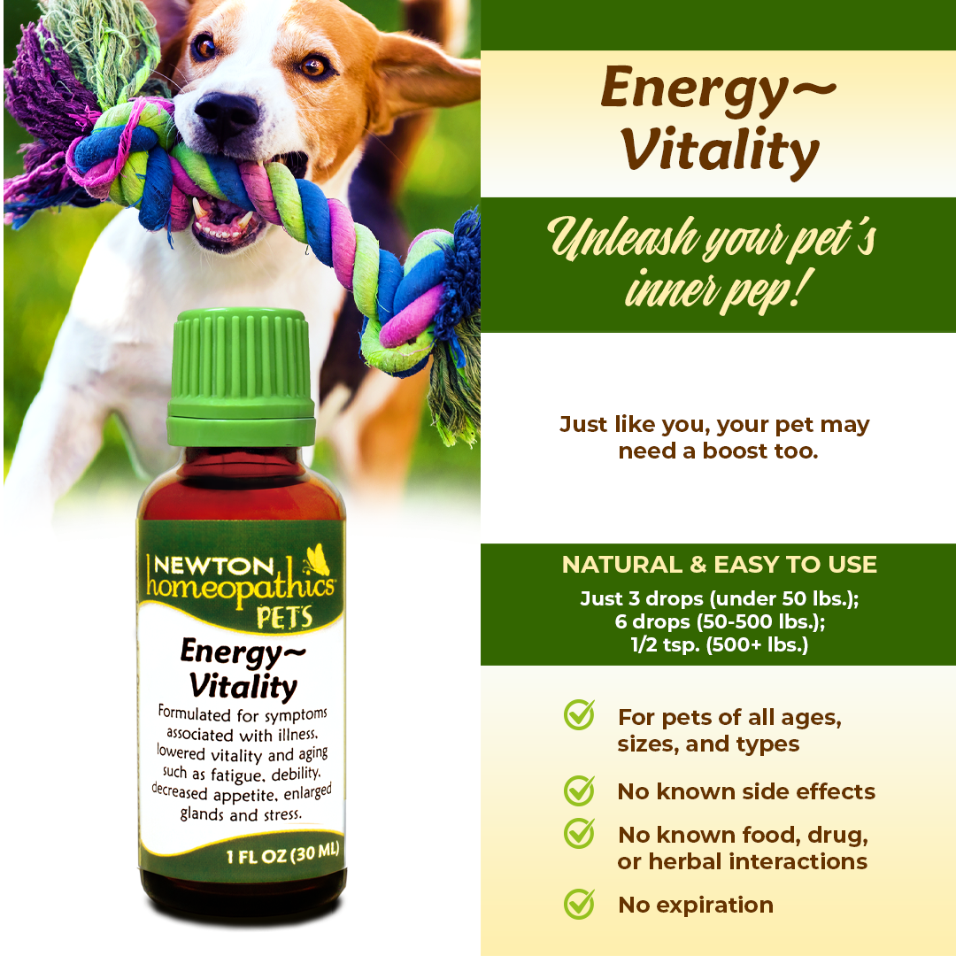 Pets Energy~Vitality