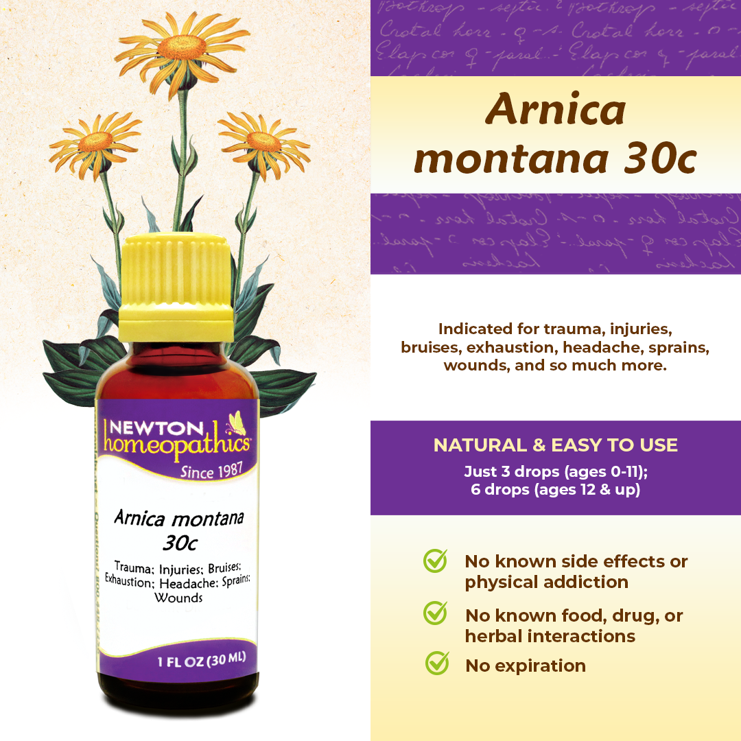 Arnica montana